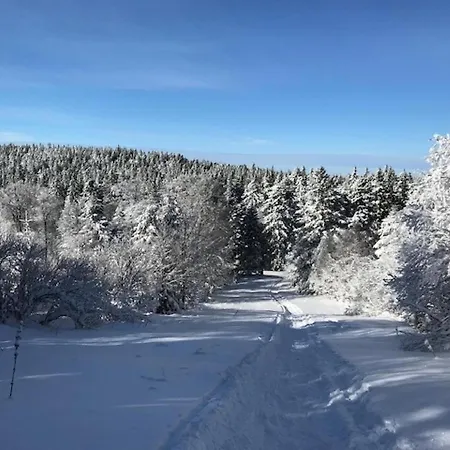 Apartment Mont-dore: Bel T3 Renove Au Centre Avec Wifi - Fr-1-608-22 Le Mont-Dore