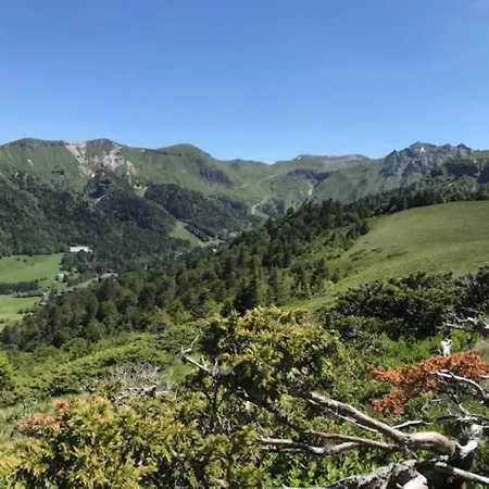 Apartment Mont-dore: Bel T3 Renove Au Centre Avec Wifi - Fr-1-608-22 Le Mont-Dore