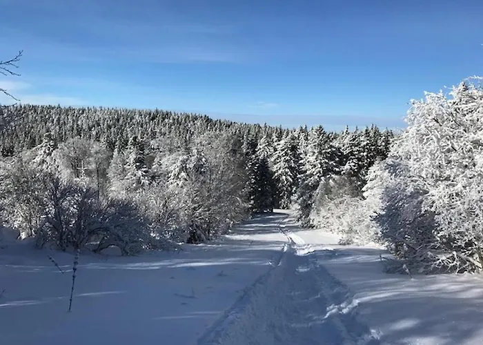 Apartment Mont-dore: Bel T3 Renove Au Centre Avec Wifi - Fr-1-608-22 Le Mont-Dore