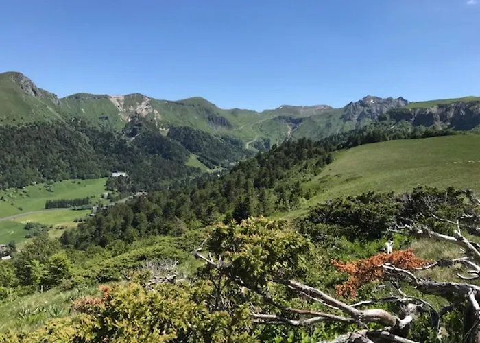 Apartment Mont-dore: Bel T3 Renove Au Centre Avec Wifi - Fr-1-608-22 Le Mont-Dore